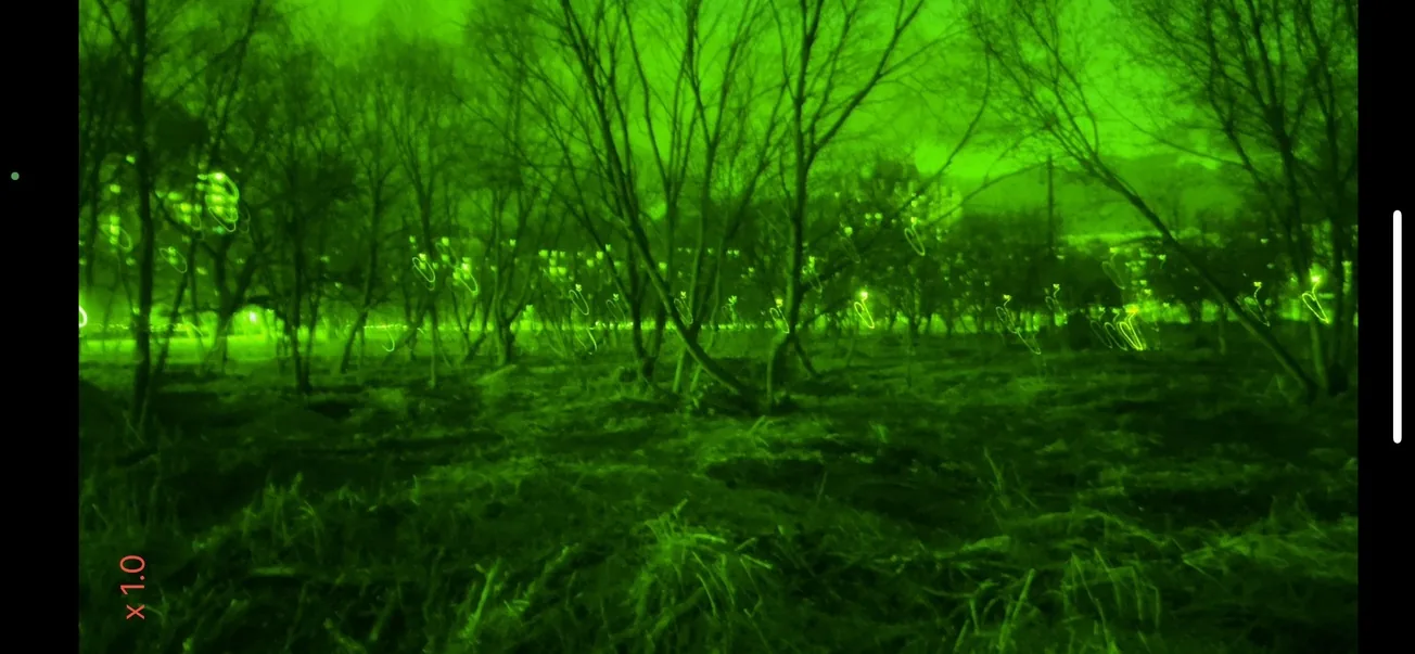 Green Night night vision sample