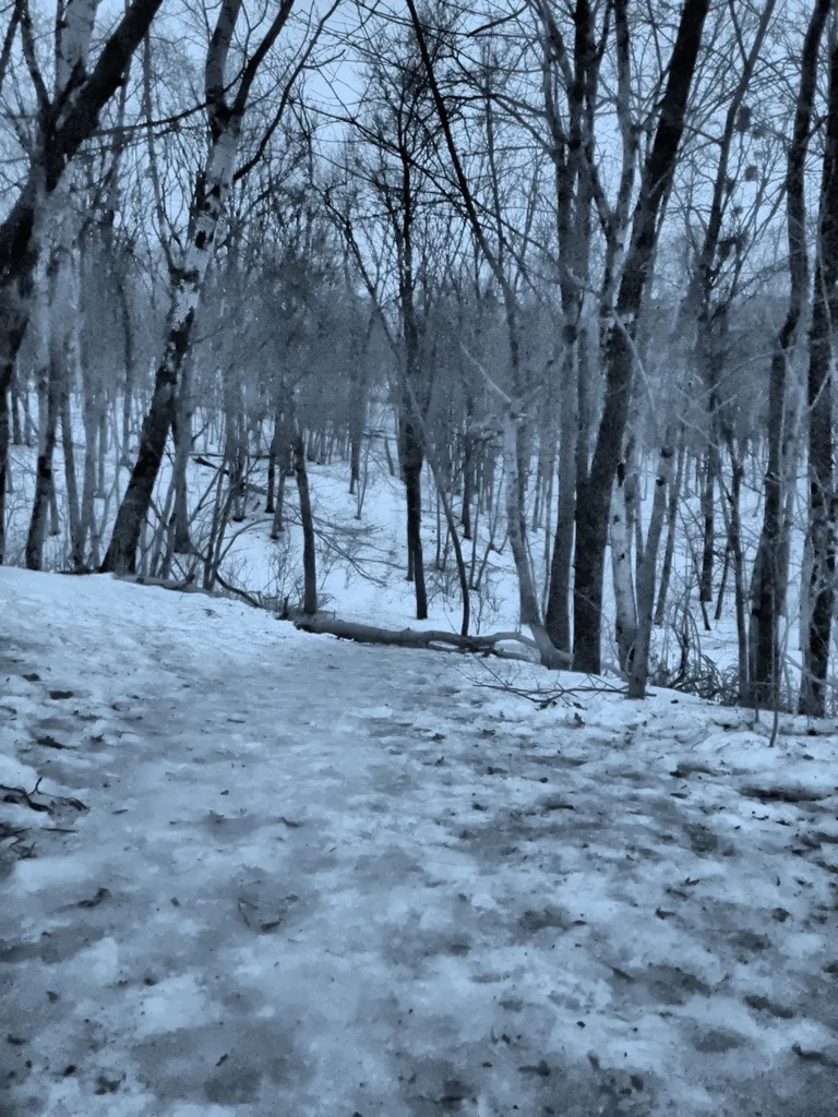 Pro Night night vision sample