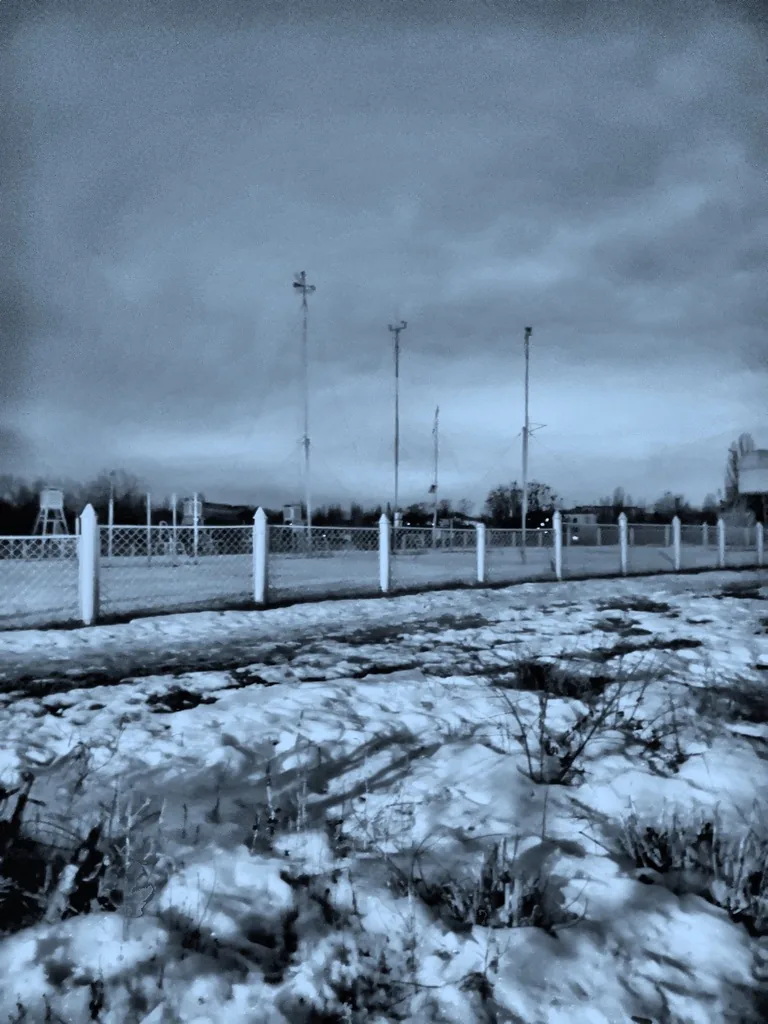 Pro Night night vision sample