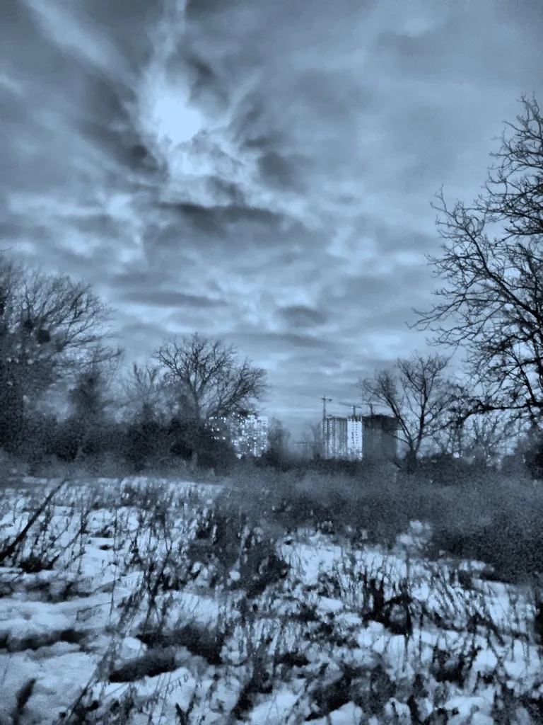 Pro Night night vision sample